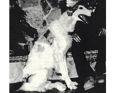 Top Obedience Borzoi 1981